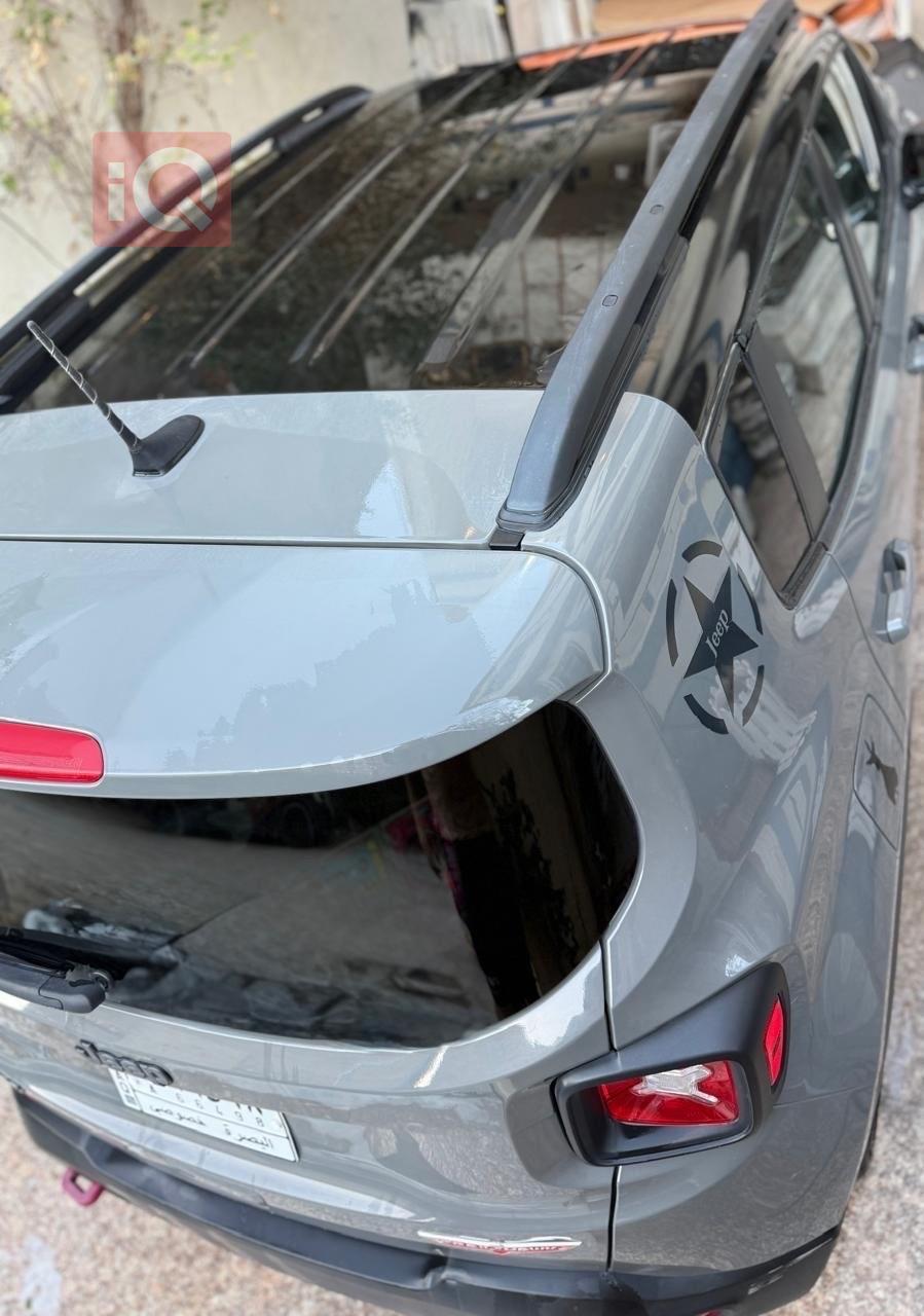 جيب رينيجيد